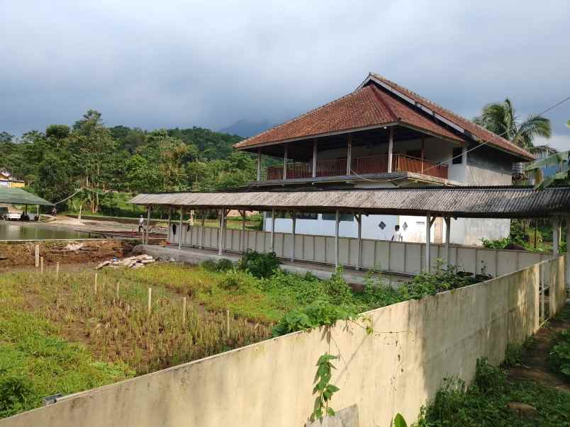 vila kolam ikan view hamparan gunung subang