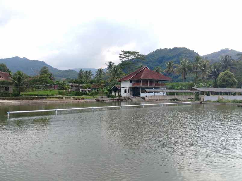 vila kolam ikan view hamparan gunung subang