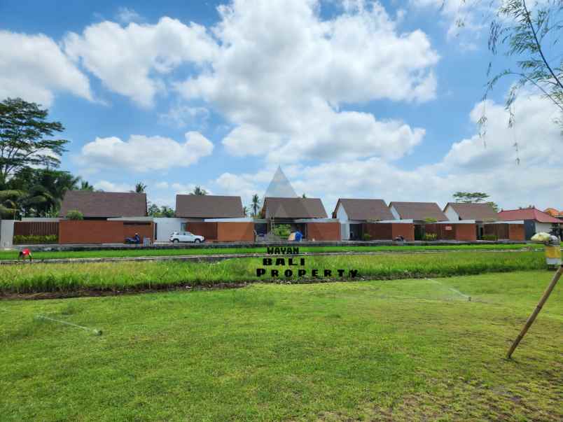 villa tepi sawah di lodtunduh ubud