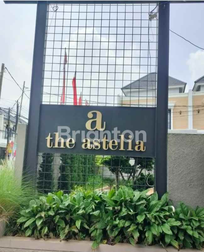 cluster the astelia bintaro