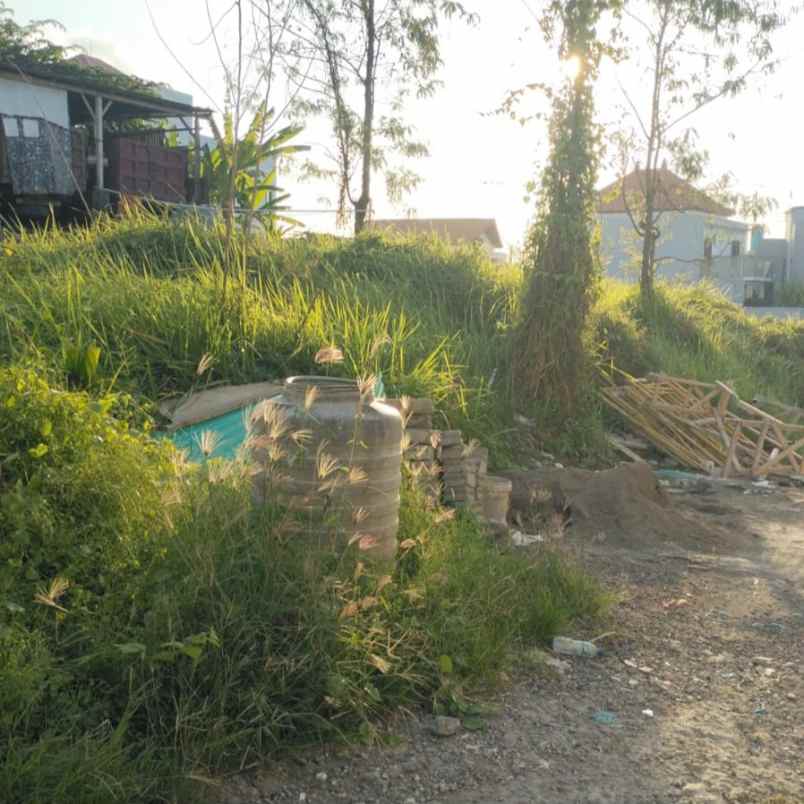 dijual 2 are jl gandamayu pemaron munggu mengwi badung