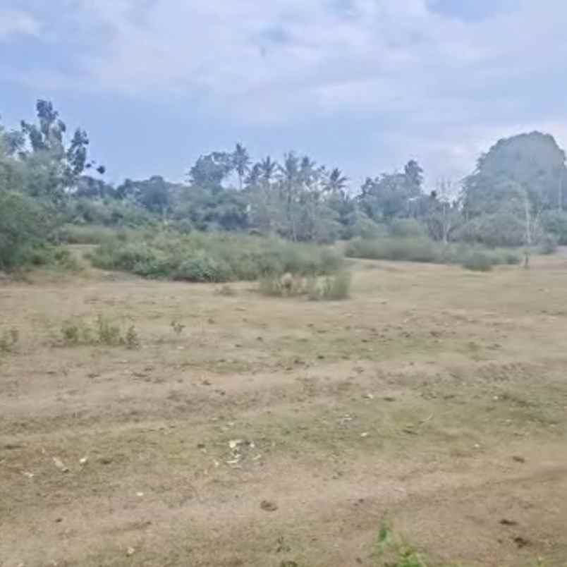 dijual 38 are jl bypass bagus mantra temesi gianyar