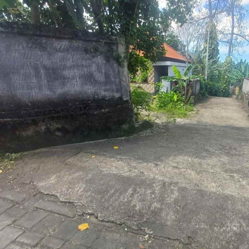 dijual 4 are jl campuan veteran buduk mengwi