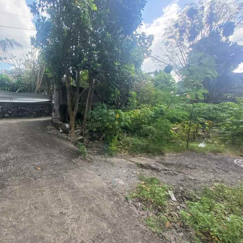 dijual 4 are jl campuan veteran buduk mengwi