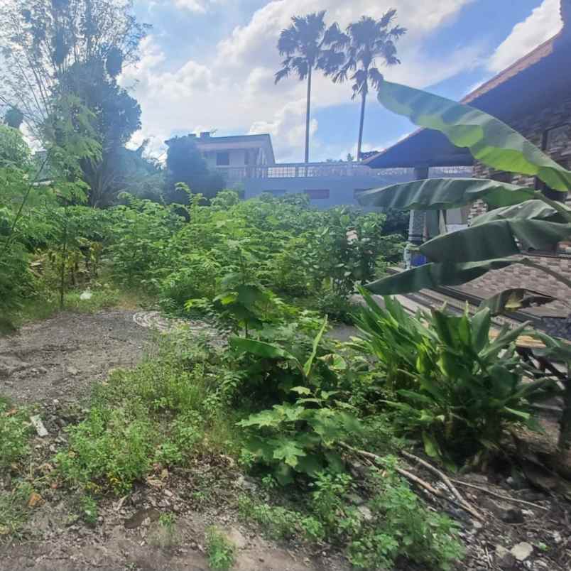 dijual 4 are jl campuan veteran buduk mengwi