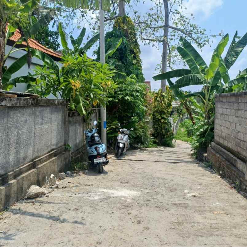 dijual 4 are jl campuan veteran buduk mengwi