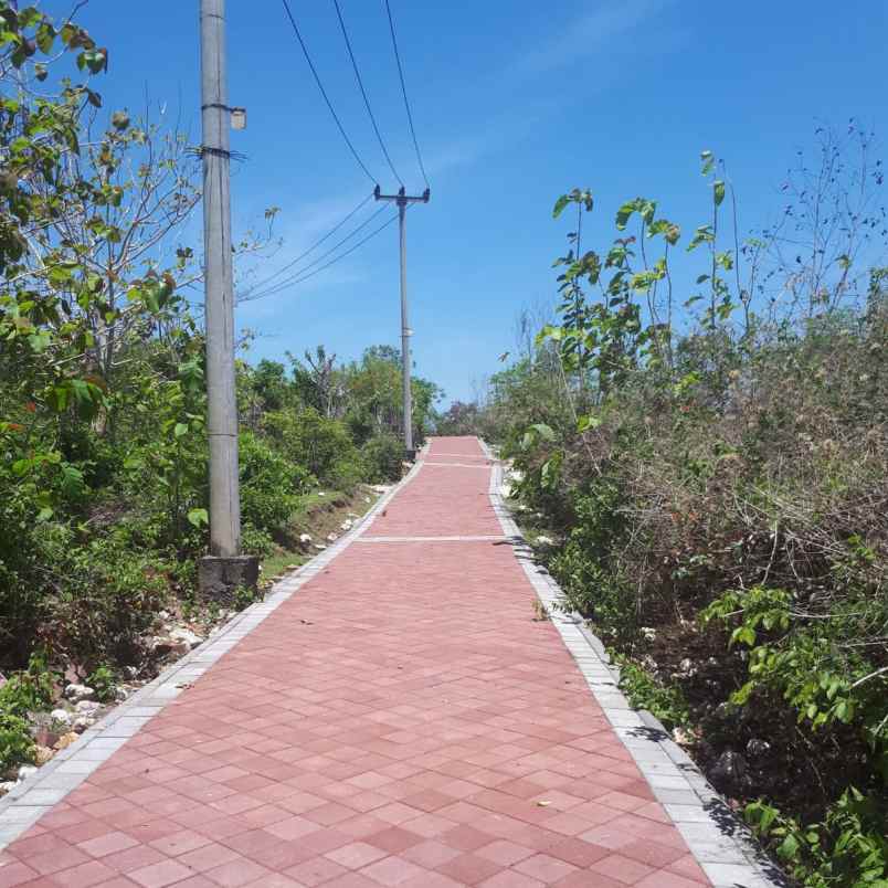 dijual 60 are jl jatayu goa gong ungasan kuta selatan
