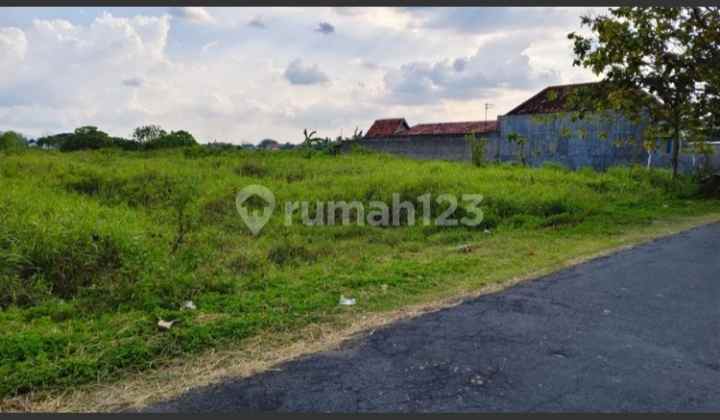 dijual cepat tanah sawah tlobong delanggu klaten
