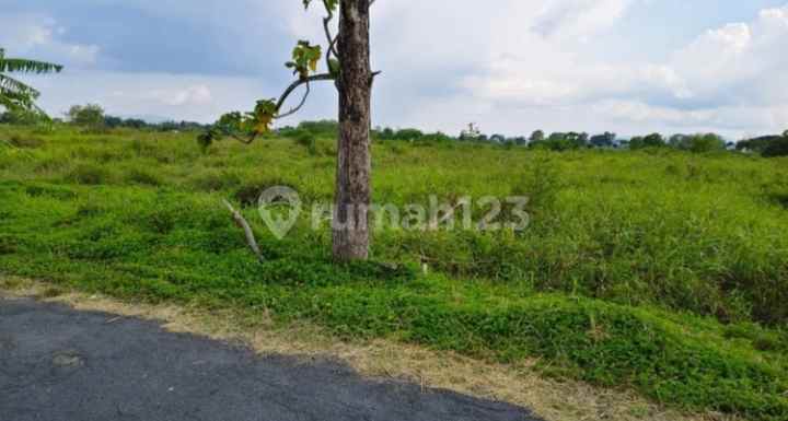 dijual cepat tanah sawah tlobong delanggu klaten