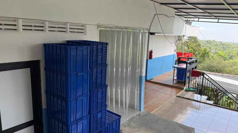 dijual kebun durian sudah berbuah di cijeruk bogor