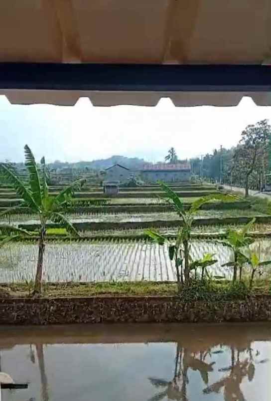 dijual kedai kopi dan resto masih aktif dan ramai