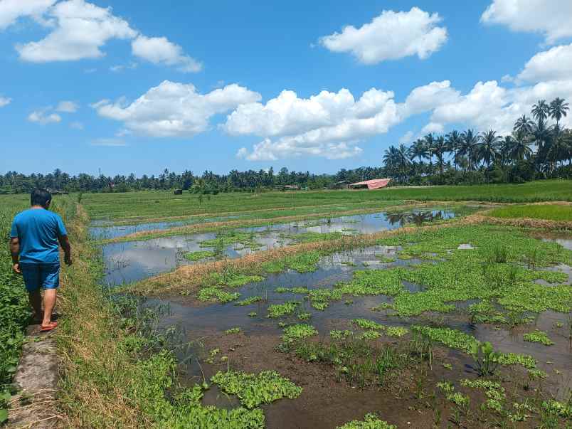 dijual murah dan cepat