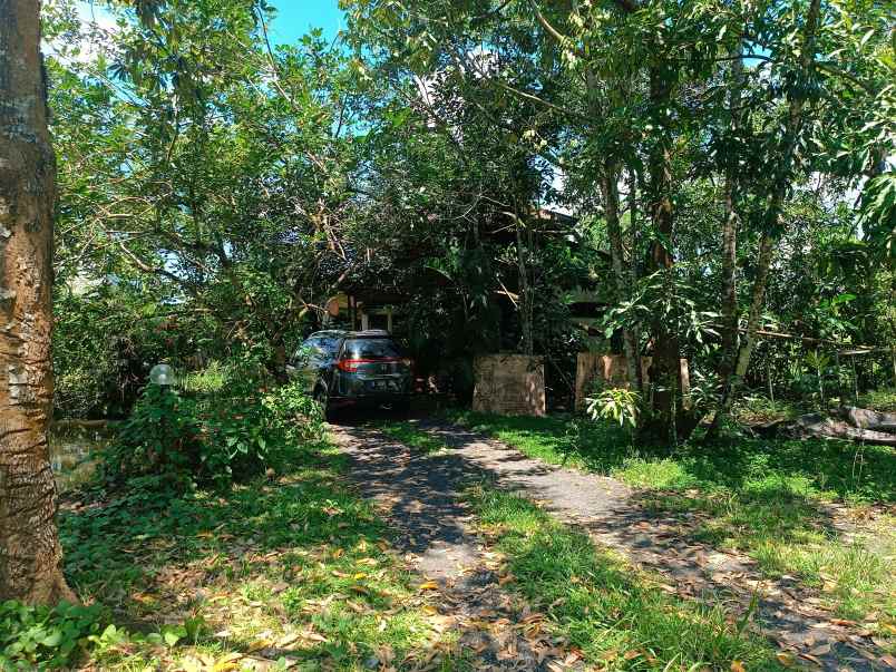 dijual murah dan cepat