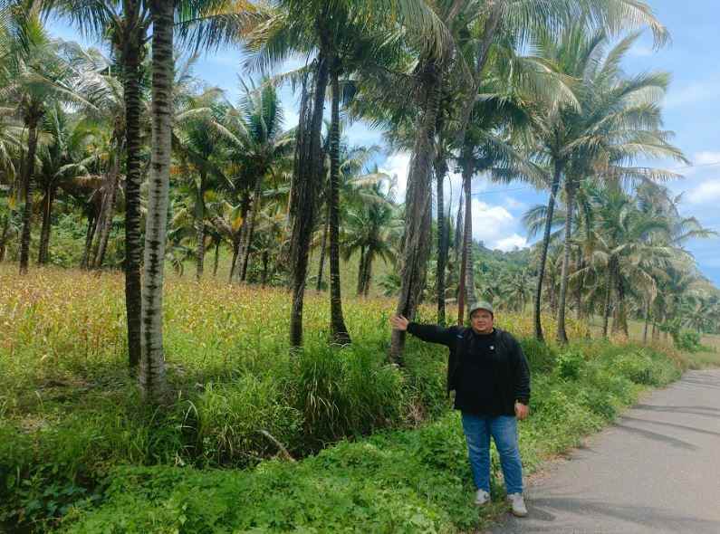 dijual murah dan cepat