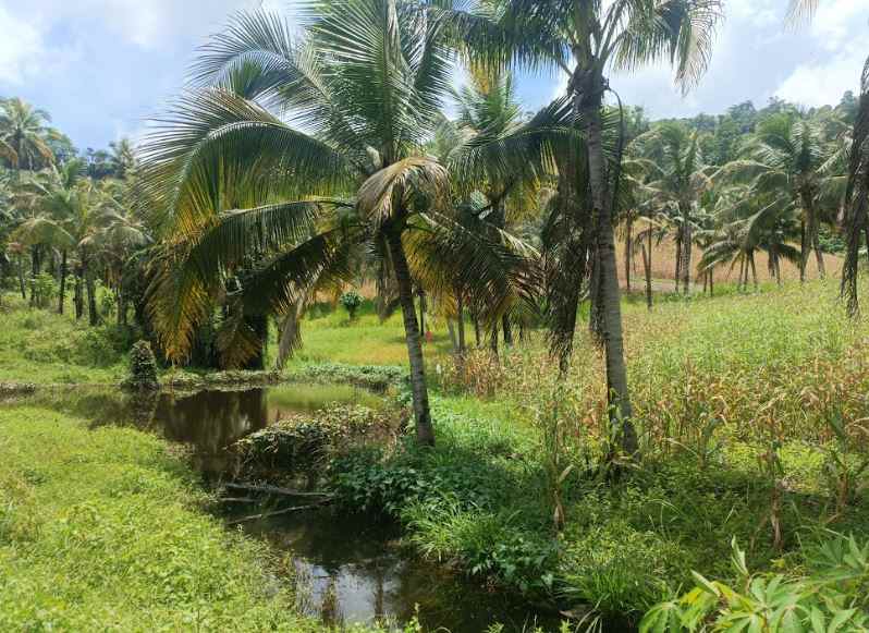 dijual murah dan cepat