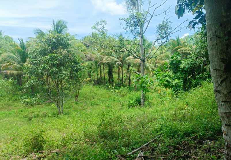 dijual murah dan cepat