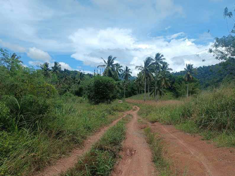 dijual murah dan cepat