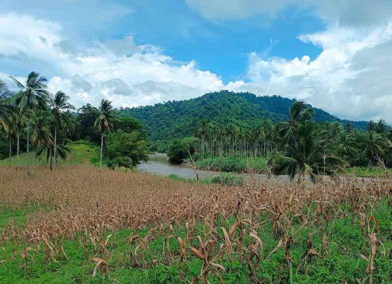 dijual murah dan cepat