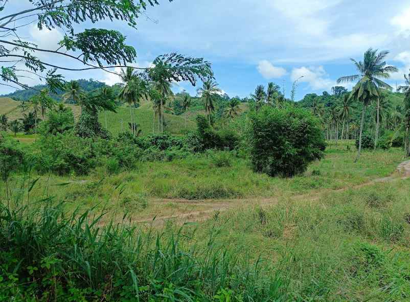 dijual murah dan cepat