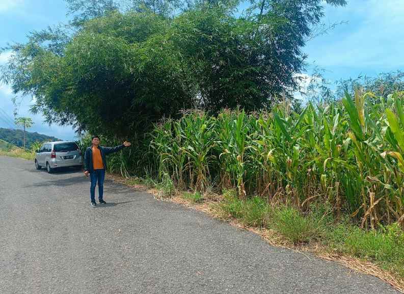 dijual murah dan cepat