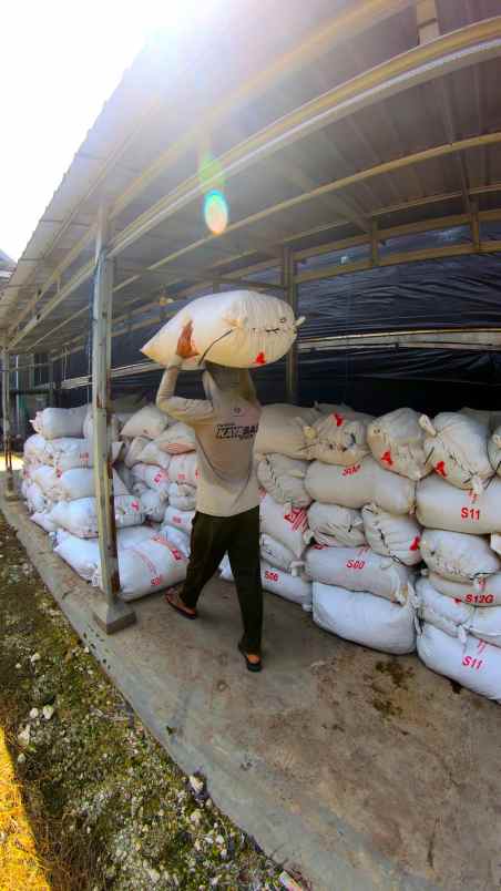 dijual ruko gudang kantor desa tawaran kenduruan kab