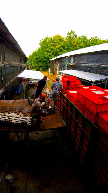 dijual ruko gudang kantor desa tawaran kenduruan kab