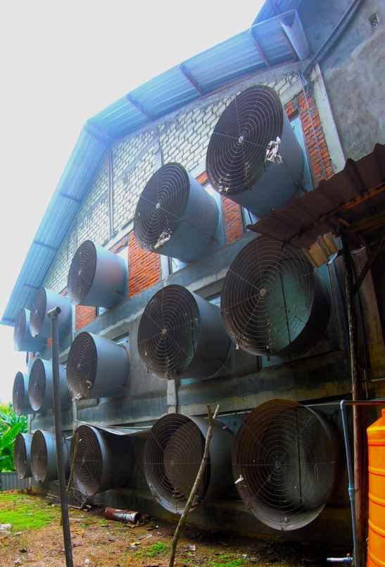 dijual ruko gudang kantor desa tawaran kenduruan kab