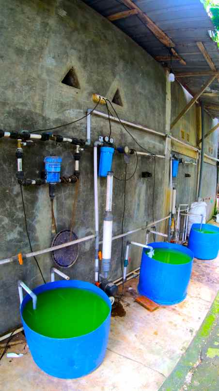 dijual ruko gudang kantor desa tawaran kenduruan kab