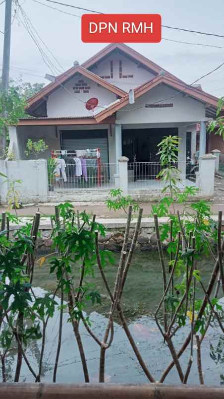 dijual rumah dijual rumah di dusun