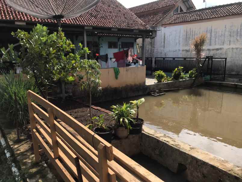 dijual rumah jl majalengka maja