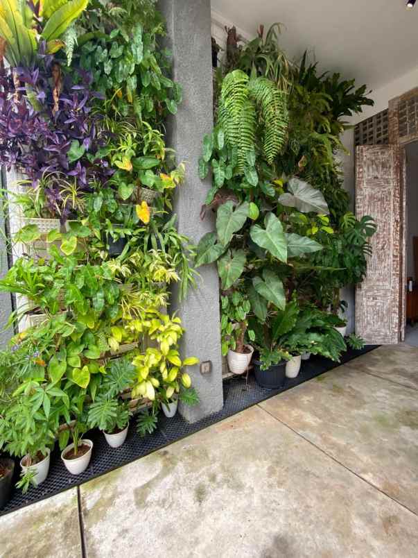 dijual rumah kayu putih