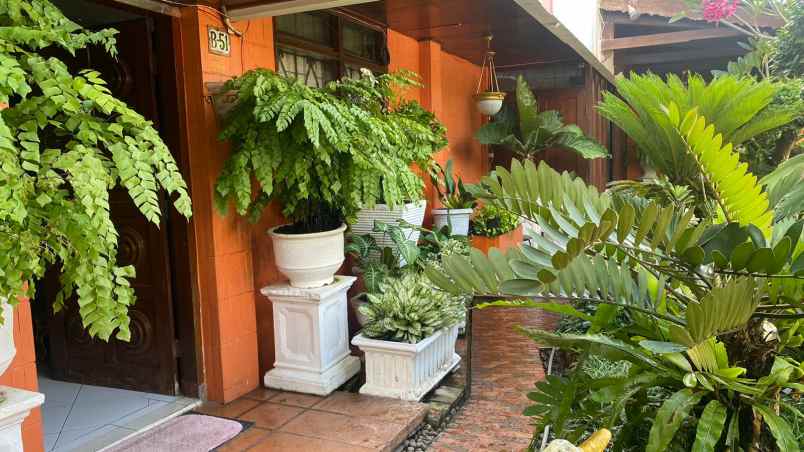 dijual rumah salemba