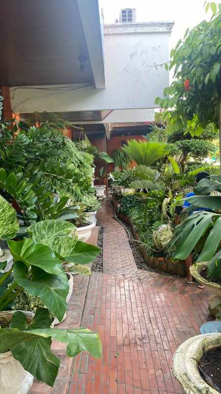 dijual rumah salemba