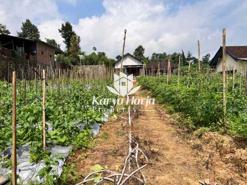 dijual tanah 1100m dekat sungai kemuning