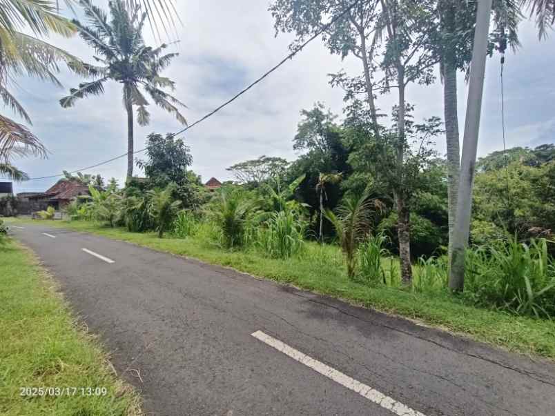 dijual tanah antap tabanan bali