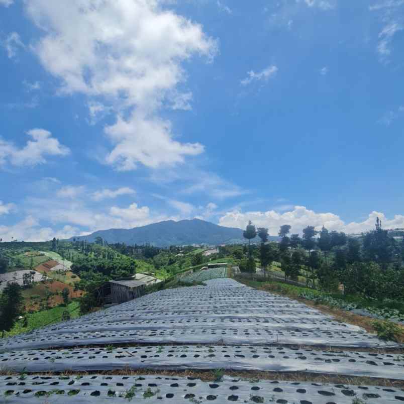 dijual tanah bandung padalarang