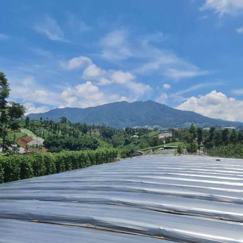 dijual tanah bandung padalarang