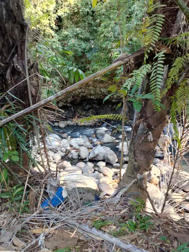 dijual tanah banjar dinas munduk desa