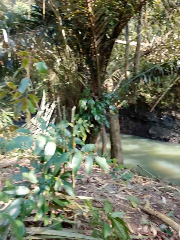 dijual tanah banjar dinas munduk desa