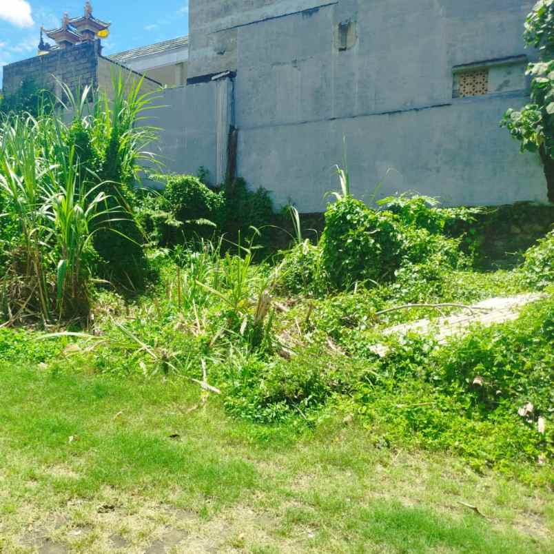 dijual tanah belakang citraland