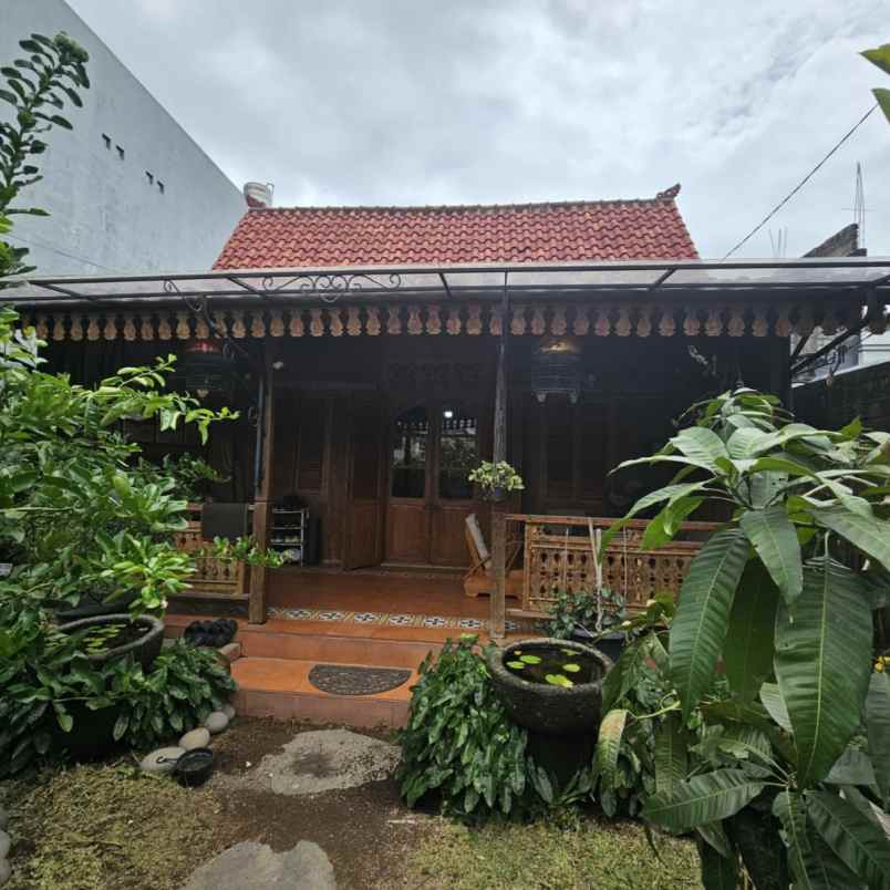 dijual tanah belakang plaza renon