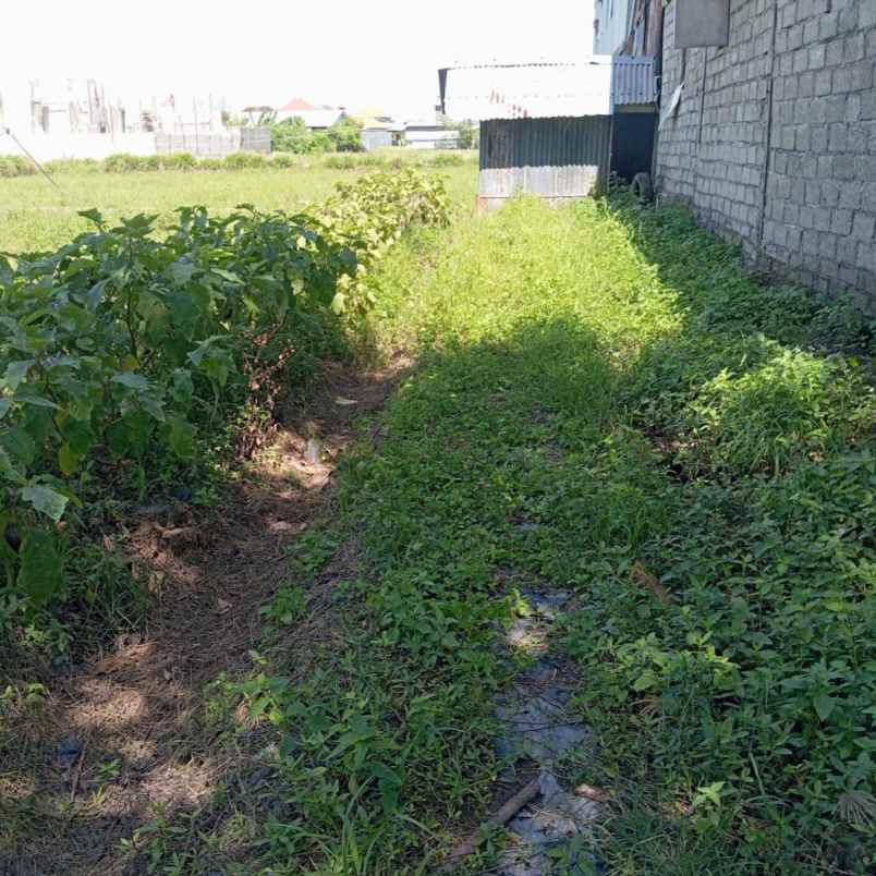 dijual tanah buluh indah