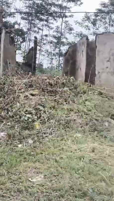 dijual tanah buring cemorokandang