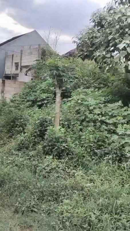 dijual tanah buring cemorokandang