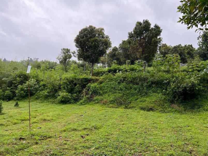 dijual tanah cluster pramestha dago