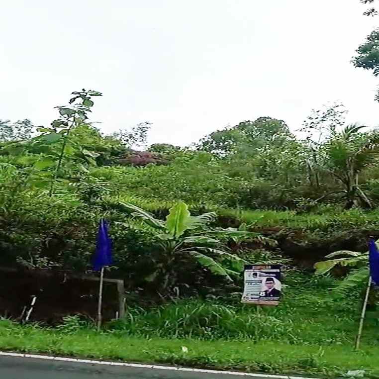 Jual Murah Tanah Untuk Urugan Lokasi Di Patuk Gunung Kidul Yogyakarta