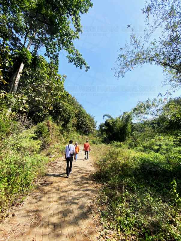 dijual tanah desa tlekung