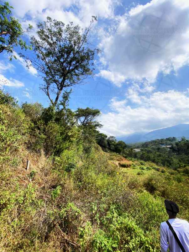 dijual tanah desa tlekung