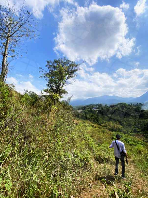 dijual tanah desa tlekung