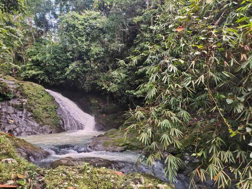 dijual tanah desa wisata dalang